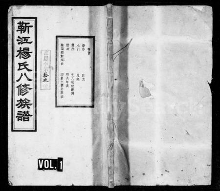 湖南杨氏族谱-靳江杨氏八修族谱 [30卷,首末各1卷].pdf电子版预览图1