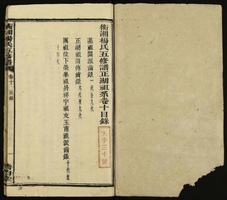 湖南杨氏族谱-衡湘杨氏五修谱 [18卷].pdf电子版预览图1