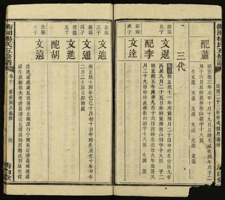 湖南杨氏族谱-衡湘杨氏五修谱 [18卷].pdf电子版预览图5