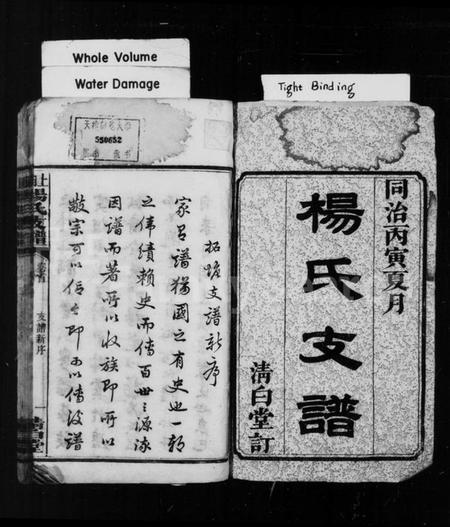 湖南杨氏族谱-杨氏支谱[5卷首1卷].pdf电子版预览图2