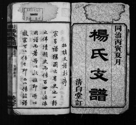 湖南杨氏族谱-杨氏支谱[5卷首1卷].pdf电子版预览图3