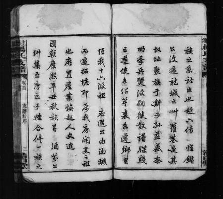 湖南杨氏族谱-杨氏支谱[5卷首1卷].pdf电子版预览图5