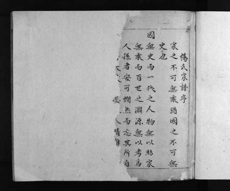 湖南杨氏族谱-杨氏家谱 [不分卷].pdf电子版预览图3