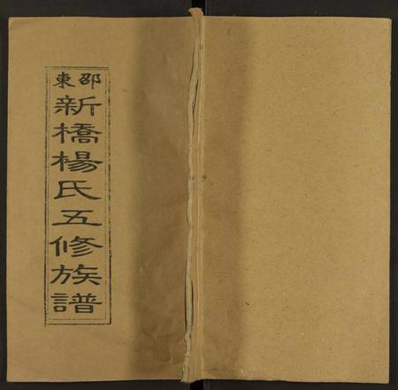 湖南杨氏族谱-新桥杨氏五修族谱 [24卷及卷首末].pdf电子版缩略图