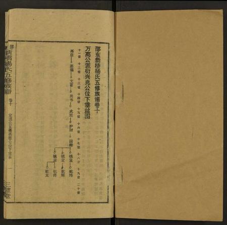 湖南杨氏族谱-新桥杨氏五修族谱 [24卷及卷首末].pdf电子版预览图1