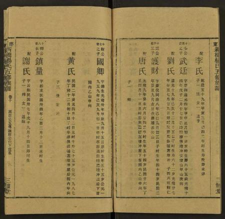 湖南杨氏族谱-新桥杨氏五修族谱 [24卷及卷首末].pdf电子版预览图3