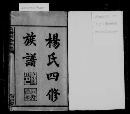 湖南杨氏向氏族谱-杨氏四修族谱 [7卷,首2卷].pdf电子版预览图2