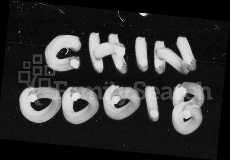 湖南姚氏族谱-三角门姚氏支谱 [3卷,首2卷,末1卷].pdf电子版预览图1