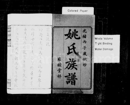 湖南姚氏族谱-姚氏族谱 [8卷,含首1卷].pdf电子版预览图2