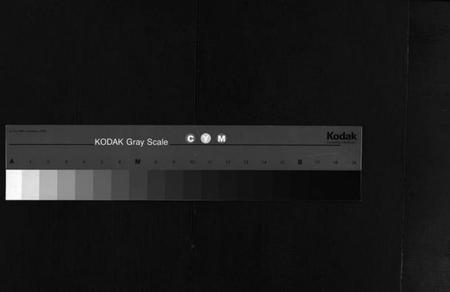 湖南姚氏族谱-邵陵姚氏族谱[20卷,首末各1卷].pdf电子版缩略图