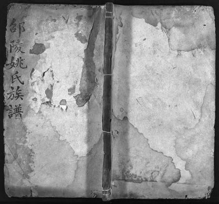 湖南姚氏族谱-邵陵姚氏族谱[20卷,首末各1卷].pdf电子版预览图1