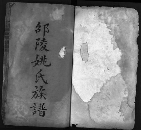 湖南姚氏族谱-邵陵姚氏族谱[20卷,首末各1卷].pdf电子版预览图2