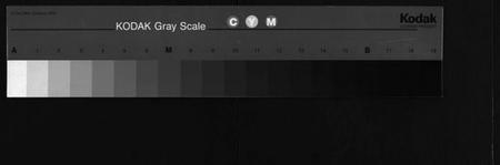 湖南叶氏族谱-澬阳叶氏四修家谱[8卷].pdf电子版