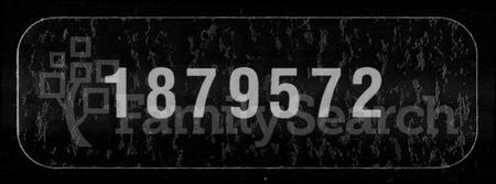 湖南叶氏族谱-叶氏二修族谱 [15卷,及卷首].pdf电子版缩略图