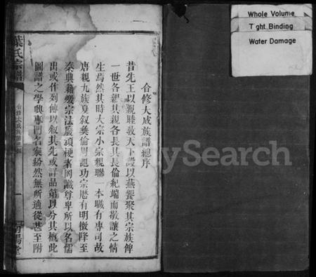 湖南叶氏族谱-叶氏宗谱 [卷数不明].pdf电子版预览图2