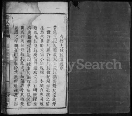 湖南叶氏族谱-叶氏宗谱 [卷数不明].pdf电子版预览图3