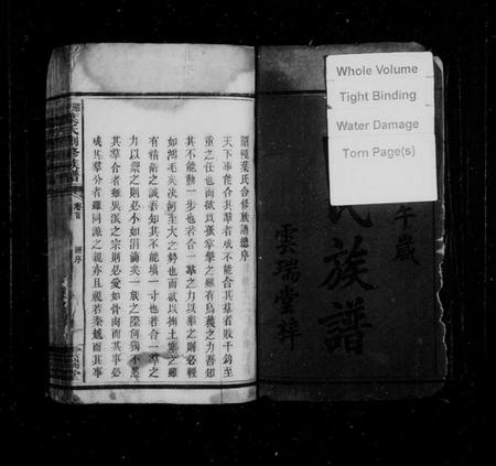 湖南叶氏族谱-叶氏族谱 [9卷,及卷首末].pdf电子版预览图3