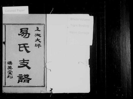 湖南易氏族谱-上湘大坪易氏支谱 [3卷,首3卷].pdf电子版预览图2