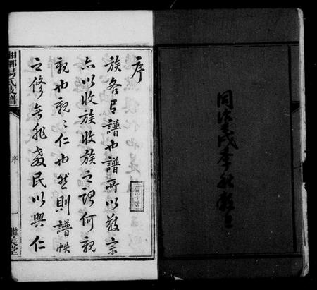 湖南易氏族谱-上湘大坪易氏支谱 [3卷,首3卷].pdf电子版预览图4