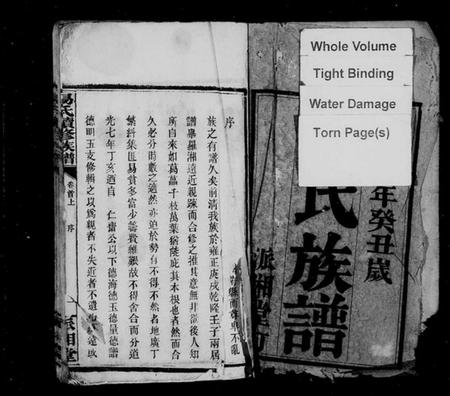 湖南易氏族谱-易氏续修族谱 [23卷,首3卷].pdf电子版预览图3