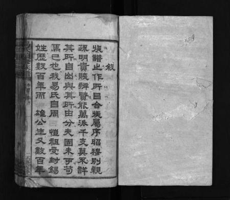 湖南易氏族谱-易氏续修族谱 [30卷,首3卷].pdf电子版预览图2