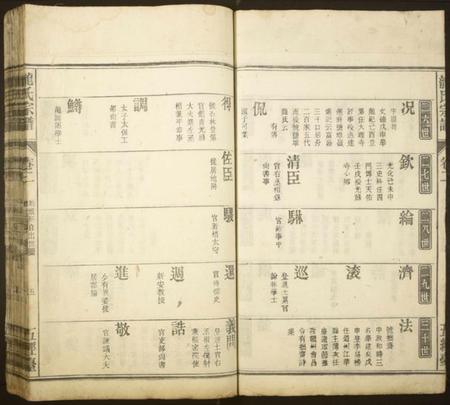 江西龙氏族谱-龙氏宗谱[卷数不详].pdf电子版预览图5