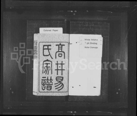 湖南易氏族谱-高井易氏家谱 [30卷,首末各1卷].pdf电子版预览图2