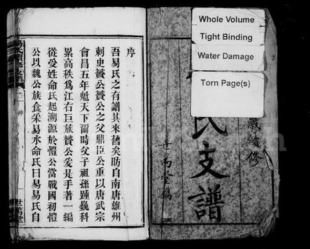 湖南易氏族谱-黑石铺易氏续修支谱 [10卷].pdf电子版预览图2