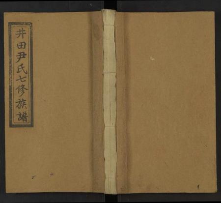 湖南尹氏族谱-仁风尹氏七修族谱 [27卷及卷首中末9卷].pdf电子版缩略图