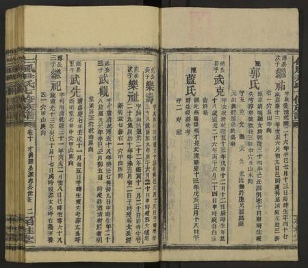 湖南尹氏族谱-仁风尹氏七修族谱 [27卷及卷首中末9卷].pdf电子版预览图2