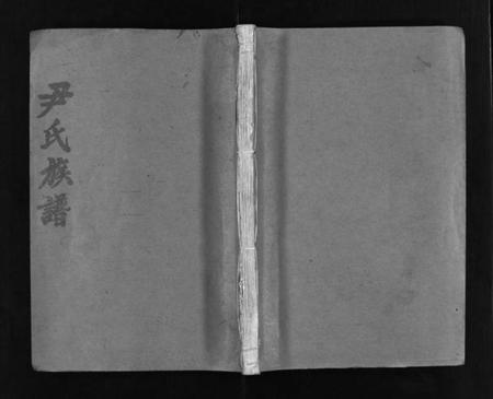 湖南尹氏族谱-尹氏族谱 [各房分卷,首9卷].pdf电子版预览图1