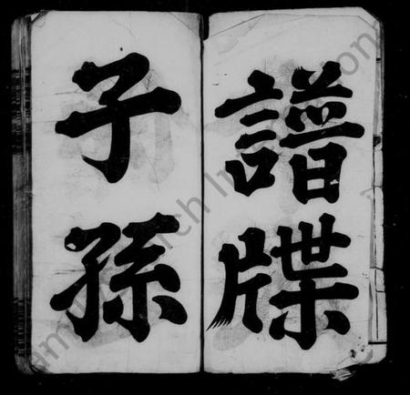 湖南余氏族谱-余氏族谱 [24卷,首12卷,及卷末].pdf电子版预览图5