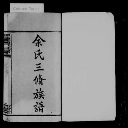 湖南余氏族谱-醴南泗汾余氏族谱 [16卷].pdf电子版预览图2