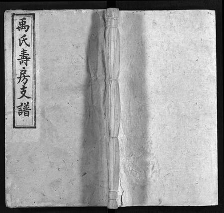 湖南禹氏族谱-禹氏寿房支谱 [14卷,首4卷,末1卷].pdf电子版预览图1