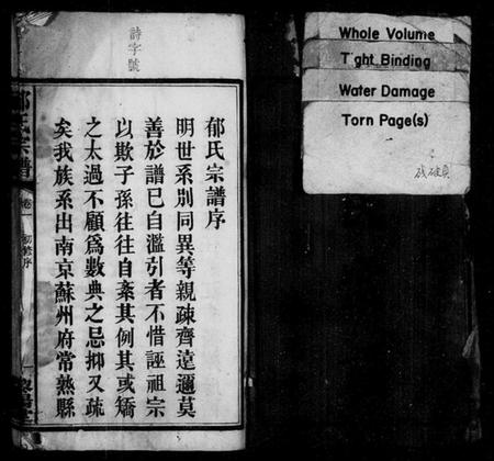 湖南郁氏族谱-郁氏宗谱 [2卷].pdf电子版预览图5