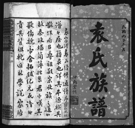 湖南袁氏族谱-潙宁袁家河袁氏族谱 [23卷,首末各1卷].pdf电子版预览图2