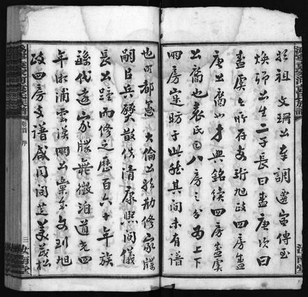 湖南袁氏族谱-潙宁袁家河袁氏族谱 [23卷,首末各1卷].pdf电子版预览图4