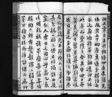 湖南袁氏族谱-潙宁袁家河袁氏族谱 [23卷,首末各1卷].pdf电子版预览图5