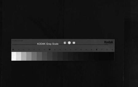 江西罗氏族谱-棠阴罗氏房谱[残4卷].pdf电子版缩略图