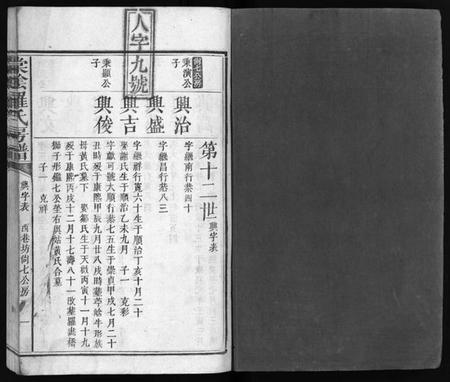 江西罗氏族谱-棠阴罗氏房谱[残4卷].pdf电子版预览图2