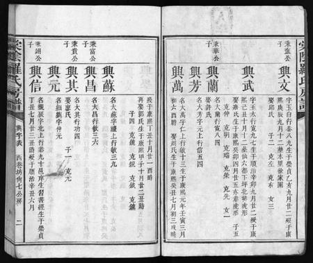 江西罗氏族谱-棠阴罗氏房谱[残4卷].pdf电子版预览图3