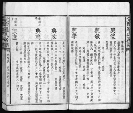 江西罗氏族谱-棠阴罗氏房谱[残4卷].pdf电子版预览图4