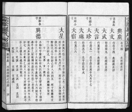 江西罗氏族谱-棠阴罗氏房谱[残4卷].pdf电子版预览图5