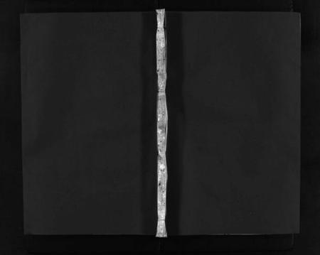 江西罗氏族谱-秀川罗氏四修族谱 [卷数不详].pdf电子版预览图1