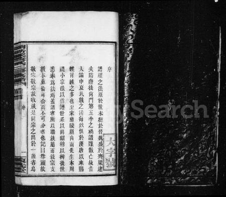 湖南袁氏族谱-袁氏支谱.pdf电子版预览图4