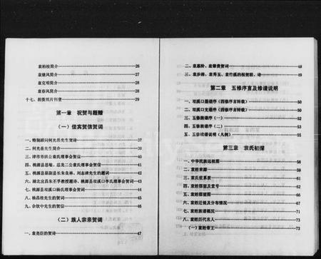 湖南袁氏族谱-袁氏族谱.pdf电子版预览图2