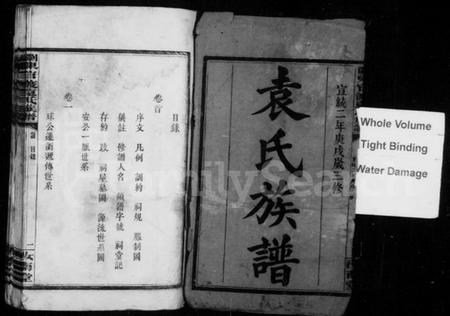 湖南袁氏族谱-袁氏族谱 [4卷,首1卷].pdf电子版预览图2