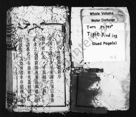 江西罗氏族谱-罗氏族谱 [5卷,及卷首].pdf电子版预览图1