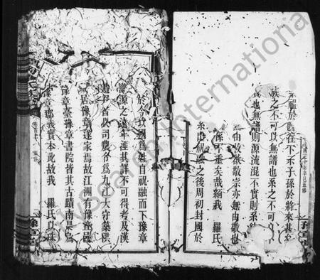 江西罗氏族谱-罗氏族谱 [5卷,及卷首].pdf电子版预览图2