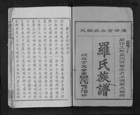 江西罗氏族谱-罗氏族谱 [8卷,含卷首].pdf电子版预览图1